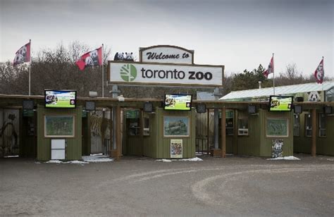 Who pays for Toronto Zoo?