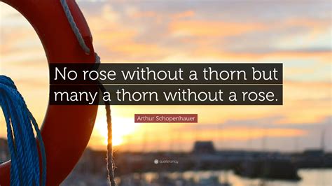 Who said a rose without a thorn?