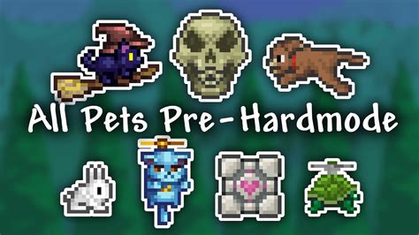 Who sells pets in Terraria?
