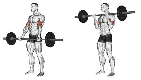 Who should not do bicep curls?
