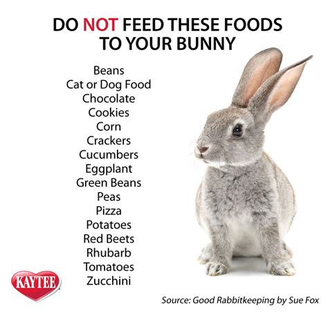 Who should not eat rabbit meat?