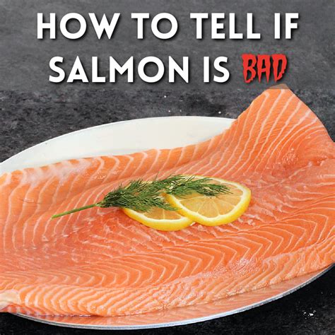 Who should not eat raw salmon?