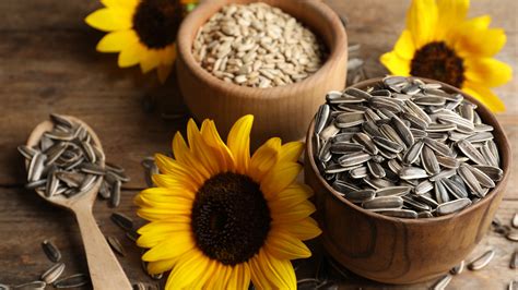 Who should not eat sunflower seeds?