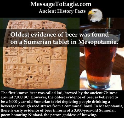 Who was the first civilization to drink beer?