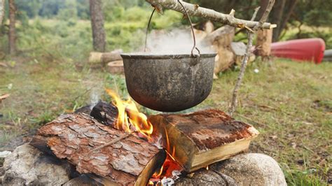 Who was the first human to cook?