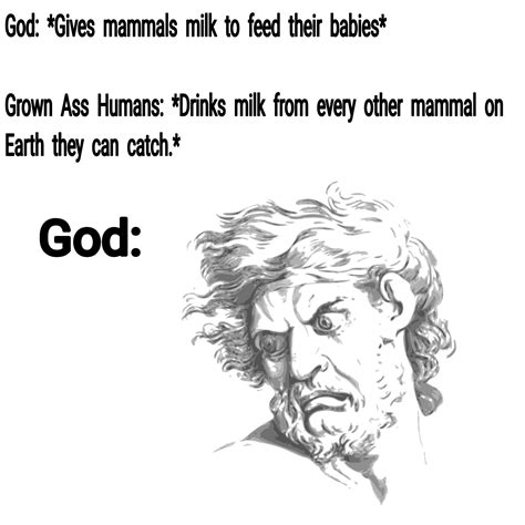 Who was the first man to drink cow's milk?