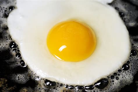 Who was the first to fry an egg?