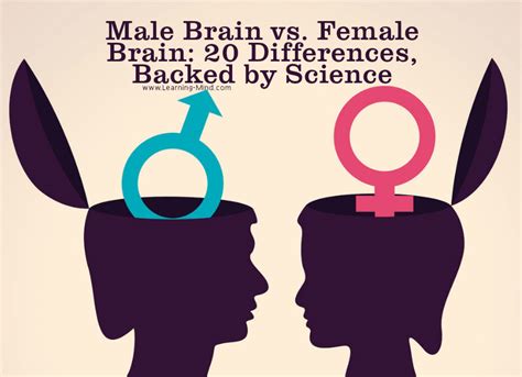 Whose brain is intelligent male or female?