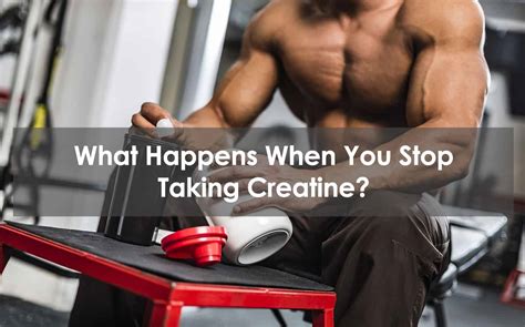 Why I quit creatine?