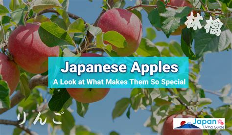 Why Japan loves Apple?