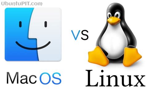 Why Linux instead of other OS?