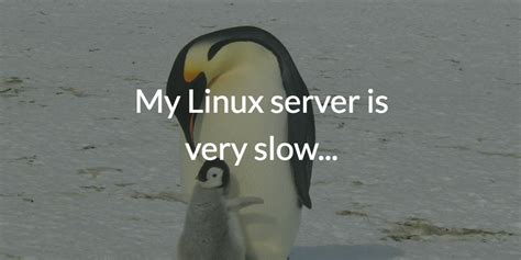 Why Linux is very slow?