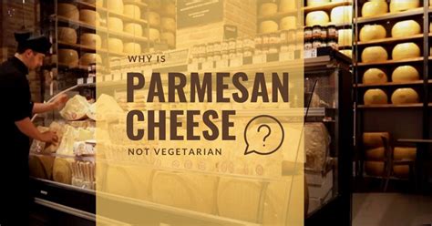 Why Parmesan cheese is not vegetarian?