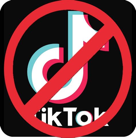Why TikTok is banned in India?