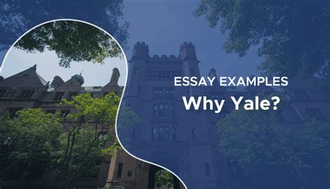 Why Yale essay length?
