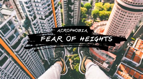Why am I deathly afraid of heights?