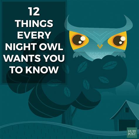 Why are ADHD people night owls?