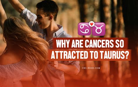 Why are Cancer's so attracted to Taurus?