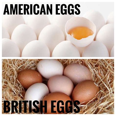 Why are Japanese eggs better than American eggs?