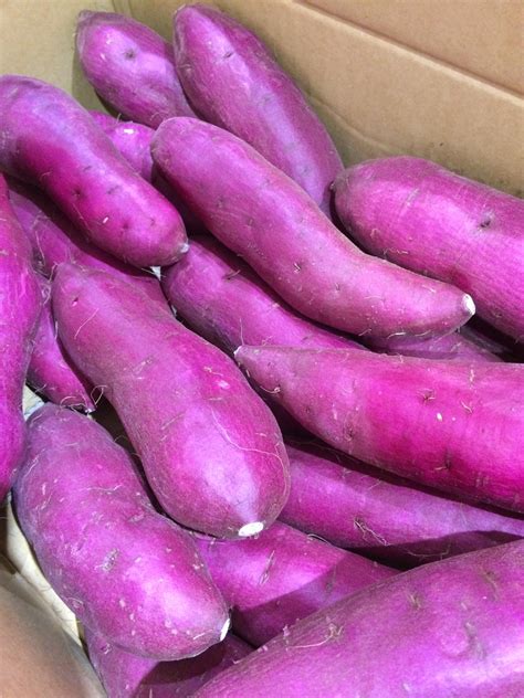 Why are Japanese sweet potatoes purple?