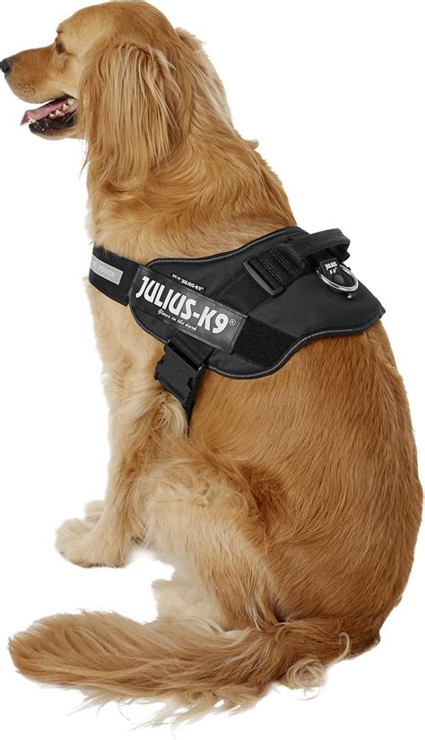 Why are Julius k9 harnesses so popular?