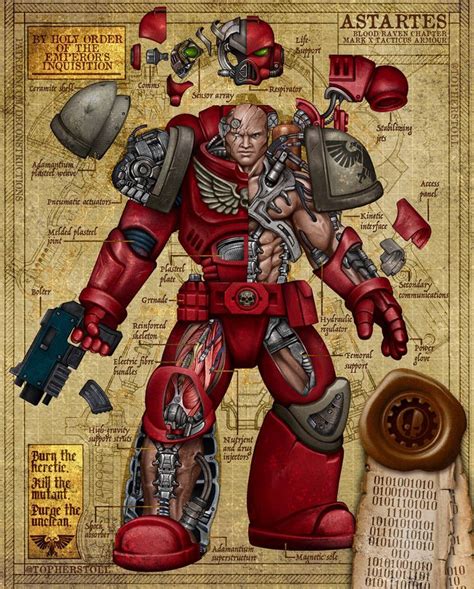 Why are all Astartes male?