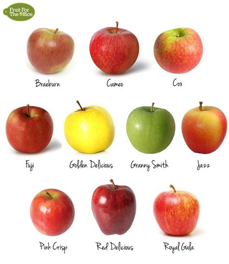 Why are apples called apples?