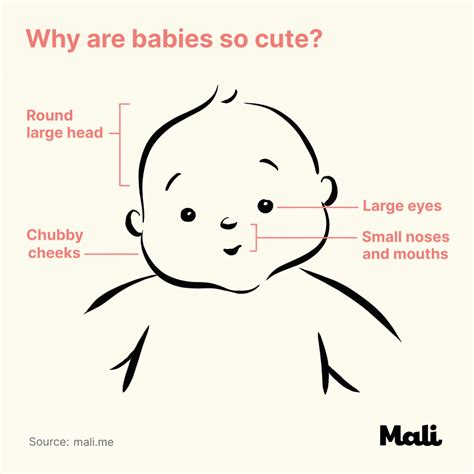 Why are babies called IT?