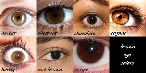 Why are brown eyes so attractive?