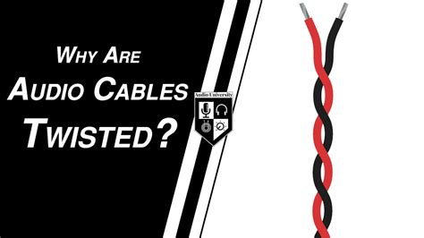 Why are bus wires twisted?
