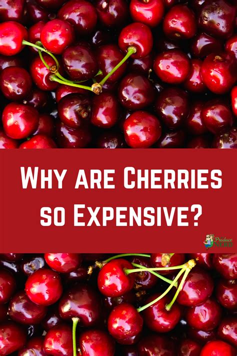 Why are cherries so expensive?