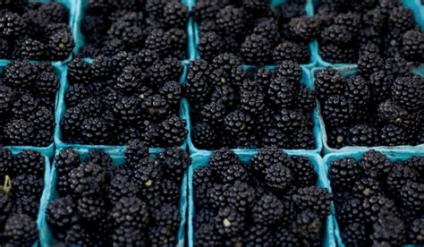 Why are darker fruits better?