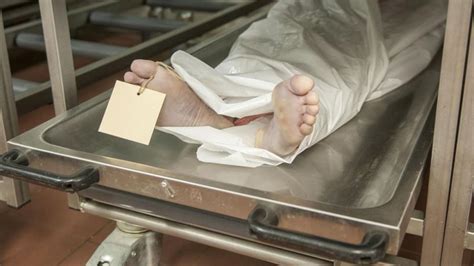 Why are dead bodies called cadavers?