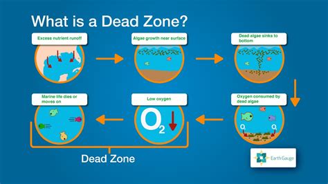 Why are dead zones bad?