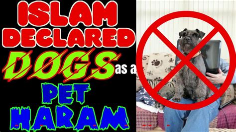 Why are dogs haram?
