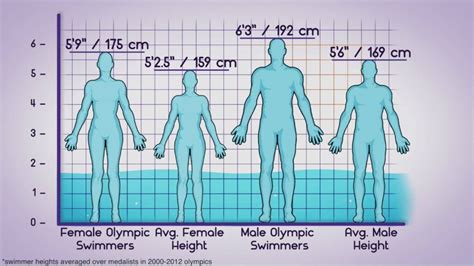 Why are female swimmers so tall?