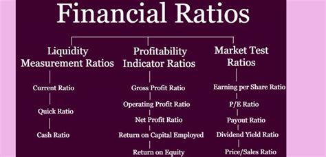 Why are financial ratios important?