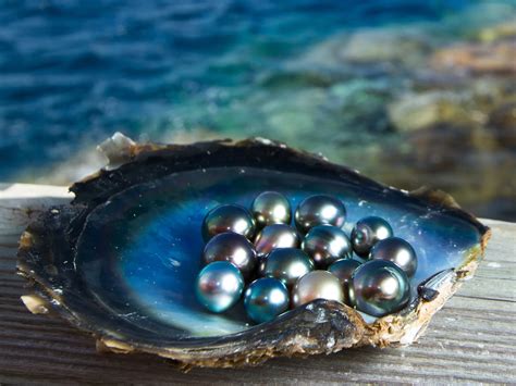 Why are fresh water pearls so expensive?