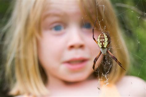 Why are girls afraid of spiders?