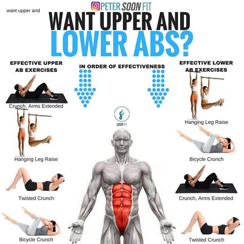 Why are lower abs so hard to target?