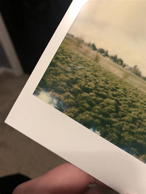 Why are my Polaroids blue?