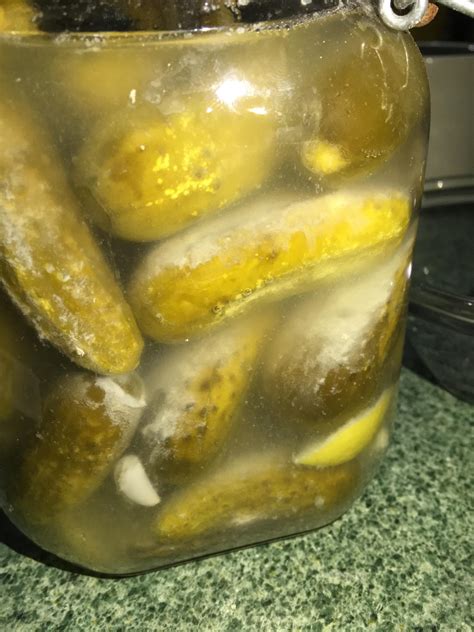 Why are my pickles not fermenting?