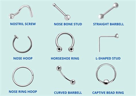 Why are nose rings so popular?