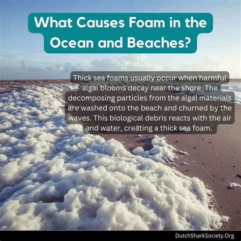 Why are oceans foamy?