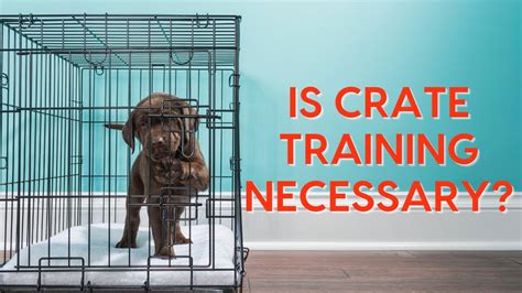 Why are people against crate training?