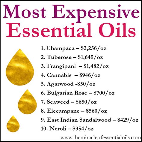 Why are perfume oils more expensive?