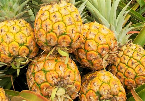 Why are pineapples yellow?