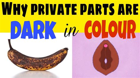 Why are private parts dark?