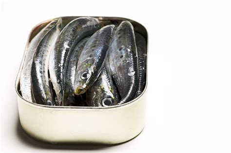 Why are sardines not popular?