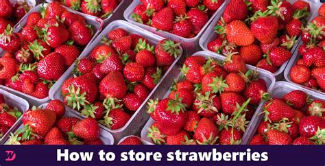 Why are strawberries not kosher?